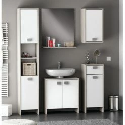 Demeyere Colonne 2 Portes HONOLULU Blanc/chêne Champagne 5 Demeyere Colonne 2 Portes HONOLULU Blanc/chêne Champagne -Ledepot-bailleul Soldes Magasin colonne 2 portes honolulu blanc chene champagne 3