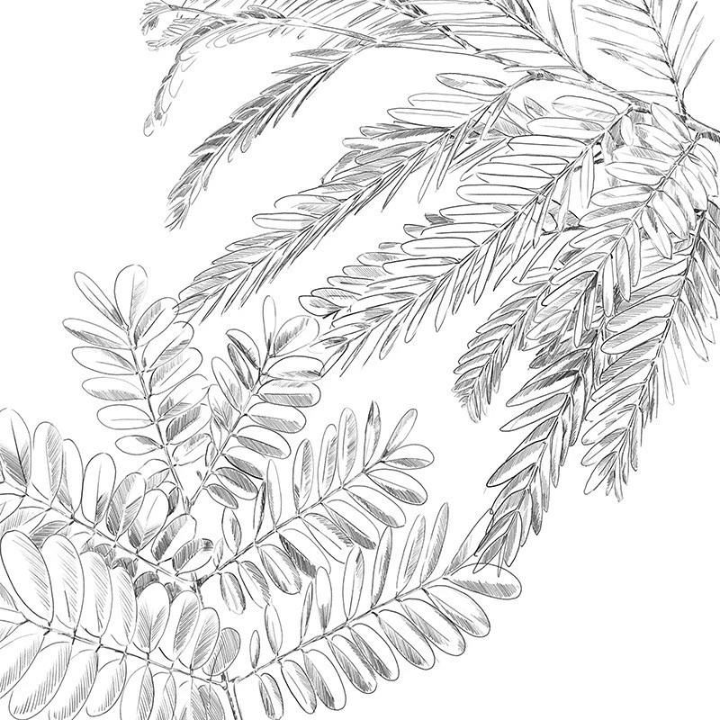 Parure de lit Monstera blanc et vert 240x220 Atmosphera Parure De Lit Monstera Blanc Et Vert 240x220 Atmosphera -Ledepot-bailleul Soldes Magasin parure de lit monstera blanc et vert 240x220 atmosphera 4