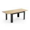 Demeyere Table à Manger Extensible 160/200 Cm Craft -Ledepot-bailleul Soldes Magasin table a manger extensible 160200 cm craft